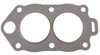 Brp Us Inc Head Gasket 325273