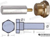 Recambios Marinos Anode Bukh C/Tap Ten02050T