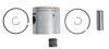Brp Us Inc Kit Ay_Piston&Ring 5007899