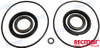 Recambios Marinos Seal Kit Lower Unit Dph_Dph-D Rec23018