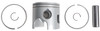 Brp Us Inc Pstn&Ring Kit-Std 5006659