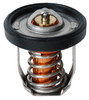 Brp Us Inc Thermostat 5036226