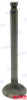 Recambios Marinos Exhaust Valve Rec104211-11110