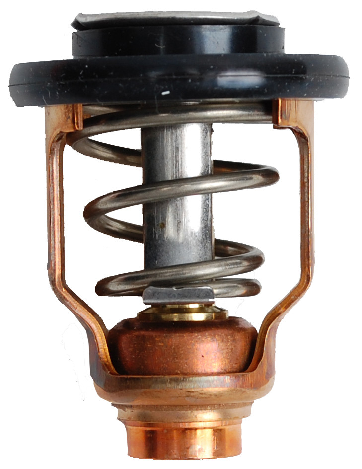 Brp Us Inc Thermostat 5033722