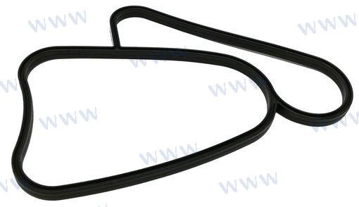 Recambios Marinos Gasket Rec3889784