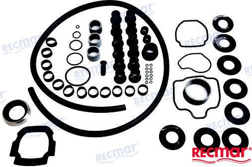 Recambios Marinos Sealing Kit Rm3858631