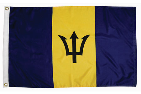 Lippert Components Inc Barbatos  Flag 12X18  Nylon 2020109212