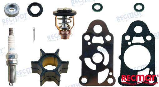 Recambios Marinos Mercury Service Kit Reckitmer2.5