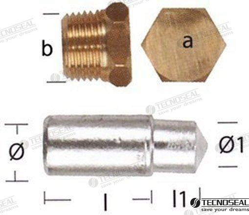 Recambios Marinos Anode Lombardini W/Tap Ten02351T