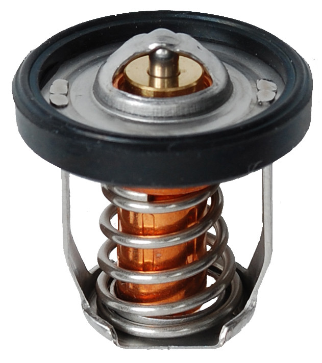 Brp Us Inc Thermostat 5036226