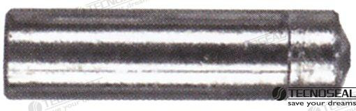 Recambios Marinos Anode Lombardini Ten02353