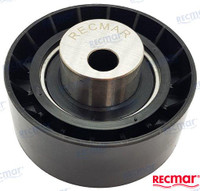 Recambios Marinos Tension Pulley Rec861563