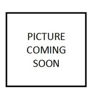 Redneck Trailer Supplies Wheel Nut 9/16"-18 Chrm  (Wsl)
