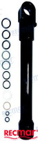 Recambios Marinos Cylinder Service Kit Rec21990