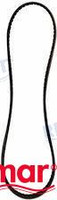 Recambios Marinos V-Belt Rec3852106