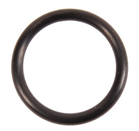 Brp Us Inc O Ring 301967