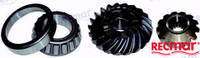 Recambios Marinos Pinion & Forward Gear Set Rec43-878087A2