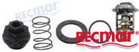 Recambios Marinos Thermostat Kit Rec13310