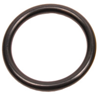 Brp Us Inc O Ring 303360