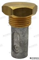 Recambios Marinos Anode Renault C/Tap Ten02090T