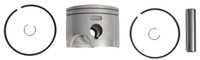 Brp Us Inc Pstn&Ring Kit_Std 5007541