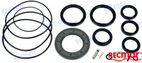 Recambios Marinos Seal Kit Unit Lower Unit Dph-D Rec23027