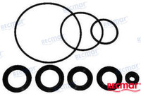 Recambios Marinos Seal Kit Rec25700-98J00