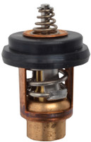 Brp Us Inc Thermostat 5040958