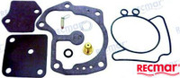 Recambios Marinos Carburetor Kit Rec439078