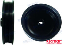Recambios Marinos Power Steering Pump Pulley Rec861578