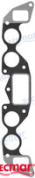 Recambios Marinos Manifold Gasket Rec856044