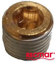 Recambios Marinos Plug Rec22-73379