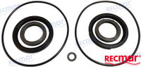 Recambios Marinos Seal Kit Lower Unit Dph_Dph-D Rec23018