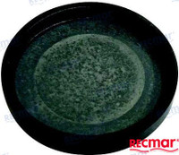 Recambios Marinos Expansion Plug Rec1336763