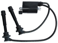 Brp Us Inc Coil_Ignition 5033823