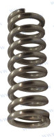 Recambios Marinos Spring Gear Paf4-02000003