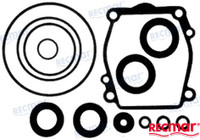 Recambios Marinos Lower Unit Seal Kit Rec25700-87D00
