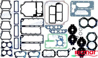Recambios Marinos Gaskets Set Rec439085