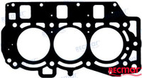 Recambios Marinos Gasket Cylinder Head Rec67C-11181-01
