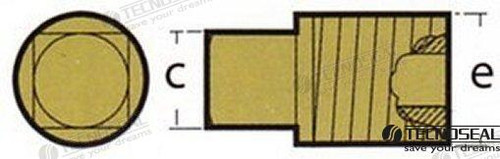 Recambios Marinos Tap Anode Caterpillar 2288 Ten02024Tp