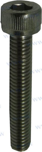 Recambios Marinos Inner Hexagon Bolt M6X35 Pagb/T70.1-M6X35