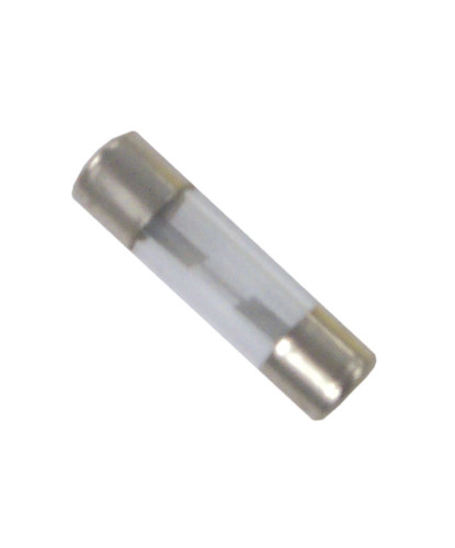 Dometic Agu 20 Amp Fuse  (2/Pk) Fs79820