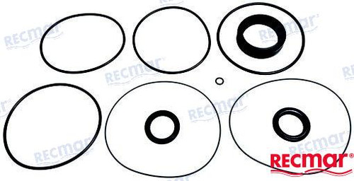 Recambios Marinos Seal Kit Lower Unit Xdp Rec23025