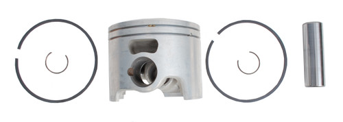 Brp Us Inc Piston&Ring Ay.020 5008425