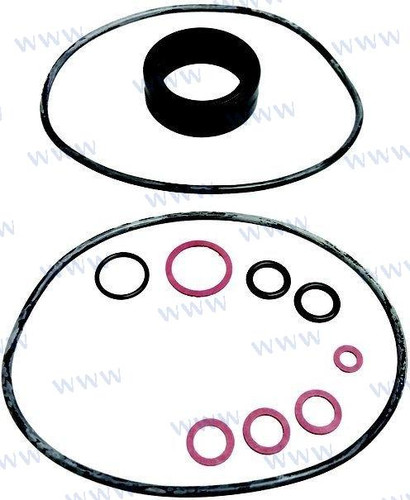 Recambios Marinos Gearcase Seal Kit Rec22086
