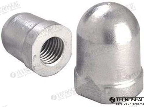 Recambios Marinos Anode Renault 22-25Mm. Ten01801