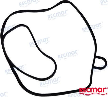 Recambios Marinos Gasket Rec3889788