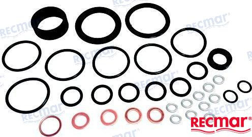 Recambios Marinos Fuel System Gasket Kit Rec1302