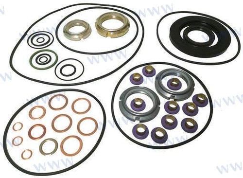 Recambios Marinos Gasket Kit Ms1 Rec876588