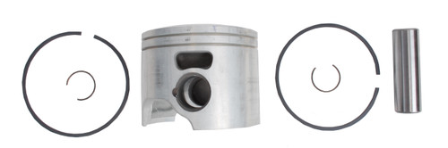Brp Us Inc Piston&Ring Ay-Std 5008544